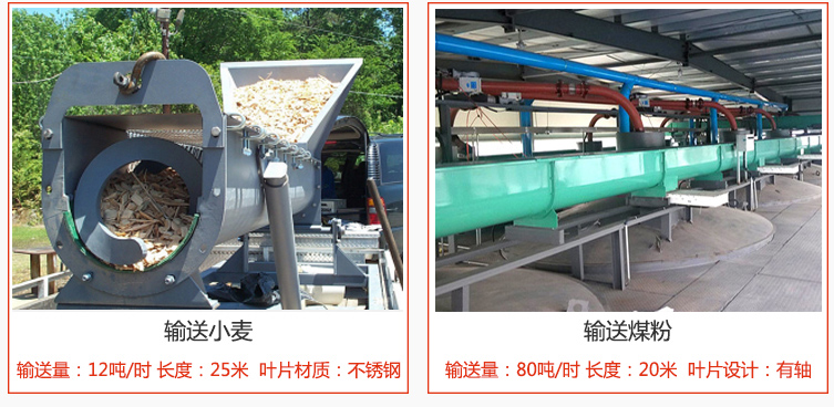 絞龍螺旋輸送機(jī)輸送小麥輸送量在12噸/時(shí)，長(zhǎng)度為25米，葉片采用不銹鋼材質(zhì)；輸送水泥輸送量在80噸/時(shí)，長(zhǎng)度為20米，葉片設(shè)計(jì)為有軸。
