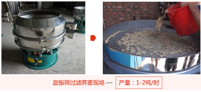 旋振篩過濾蕎麥現(xiàn)場，產(chǎn)量可達2噸每小時。